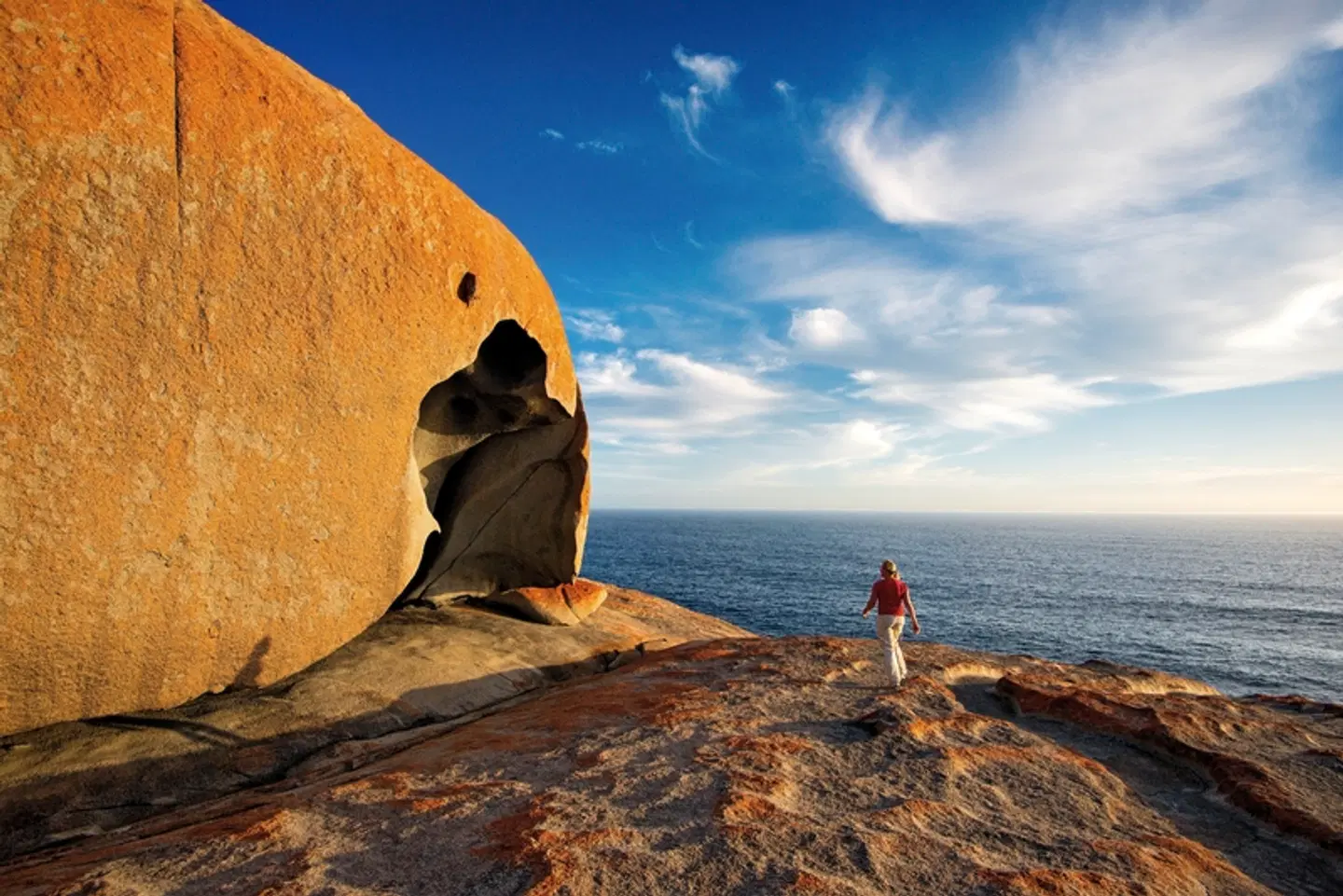 Naturwunder Kangaroo Island Tiere