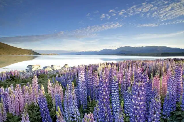 Große Neuseeland Rundreise (14 Tage/13 Nächte) Landschaft