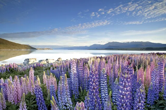 Große Neuseeland Rundreise (14 Tage/13 Nächte) Landschaft