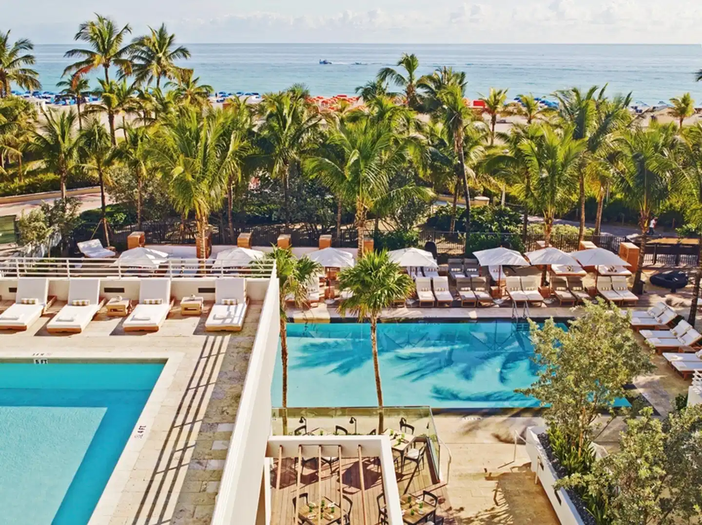 Royal Palm Miami Pool