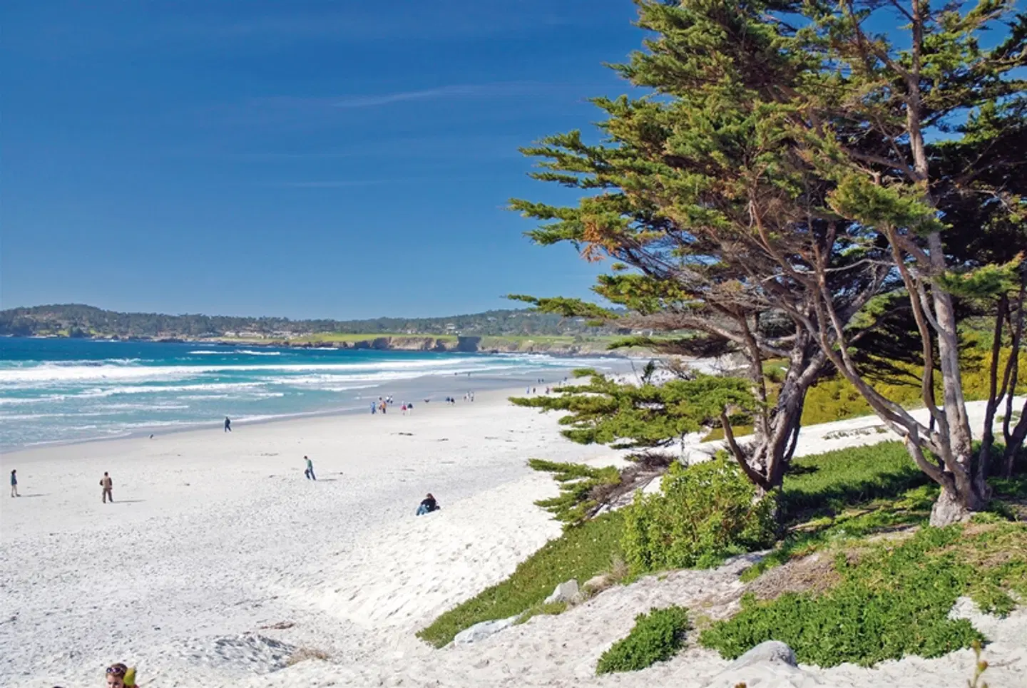 Western Express & Hawaii Maui Strand