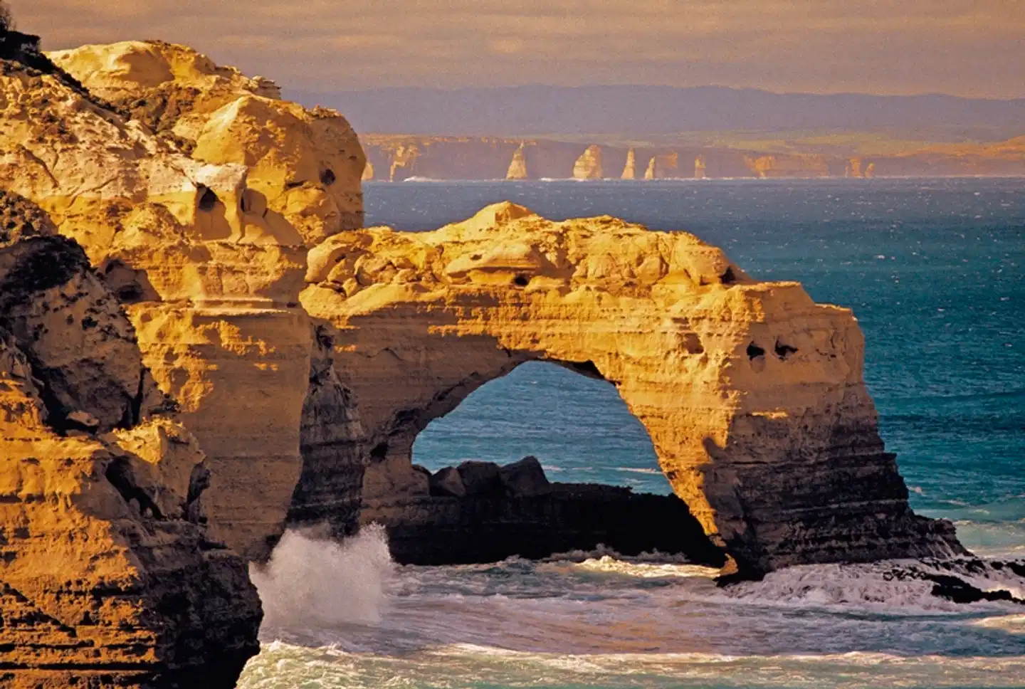 Great Ocean Road & Grampians Tiere