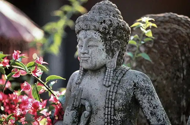 Höhepunkte Indonesiens - Sumatra und Java entdecken (Privatreise) Tiere