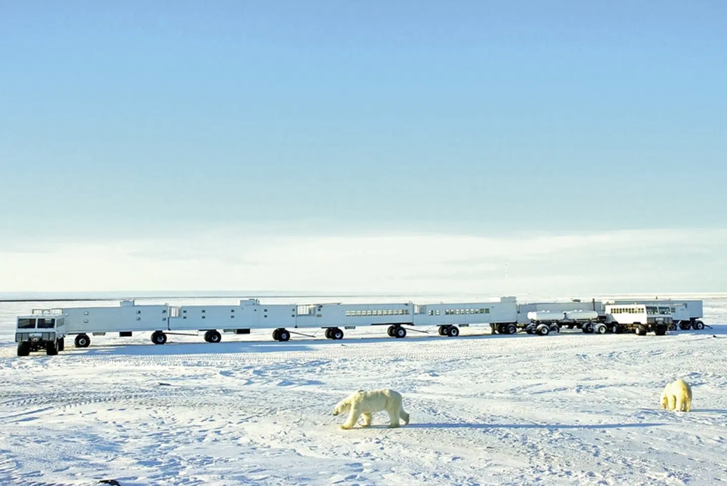 Erlebnis Eisbären mit Tundra Buggy Lodge (6 Nächte) Strand