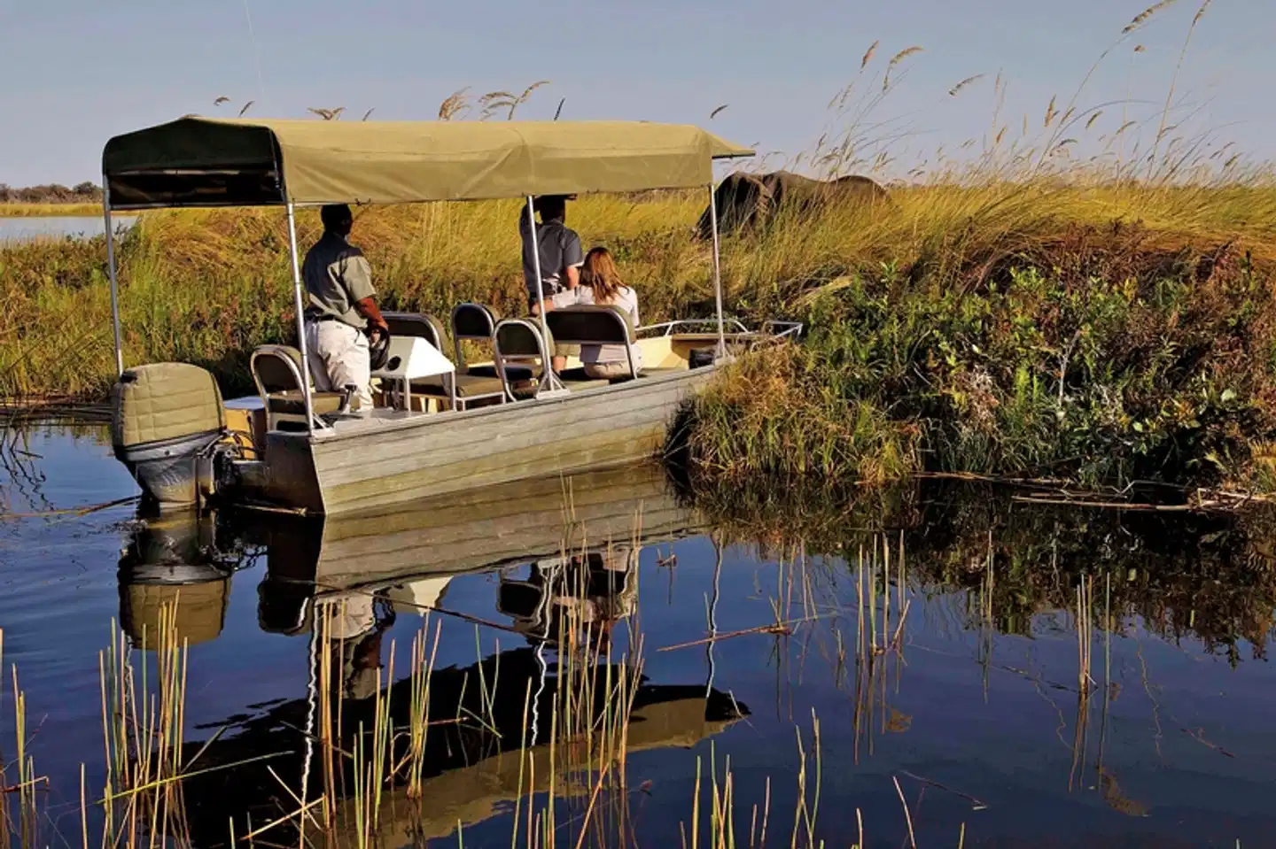 Der Herzschlag Afrikas (6 Nächte ab Kasane) Bar