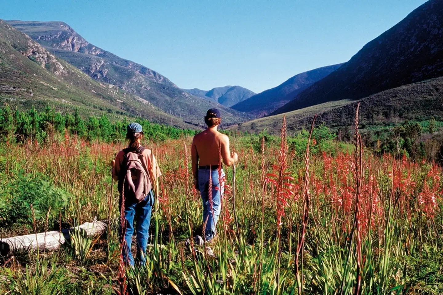 Tsitsikamma Lodge & Spa LANDSCAPE