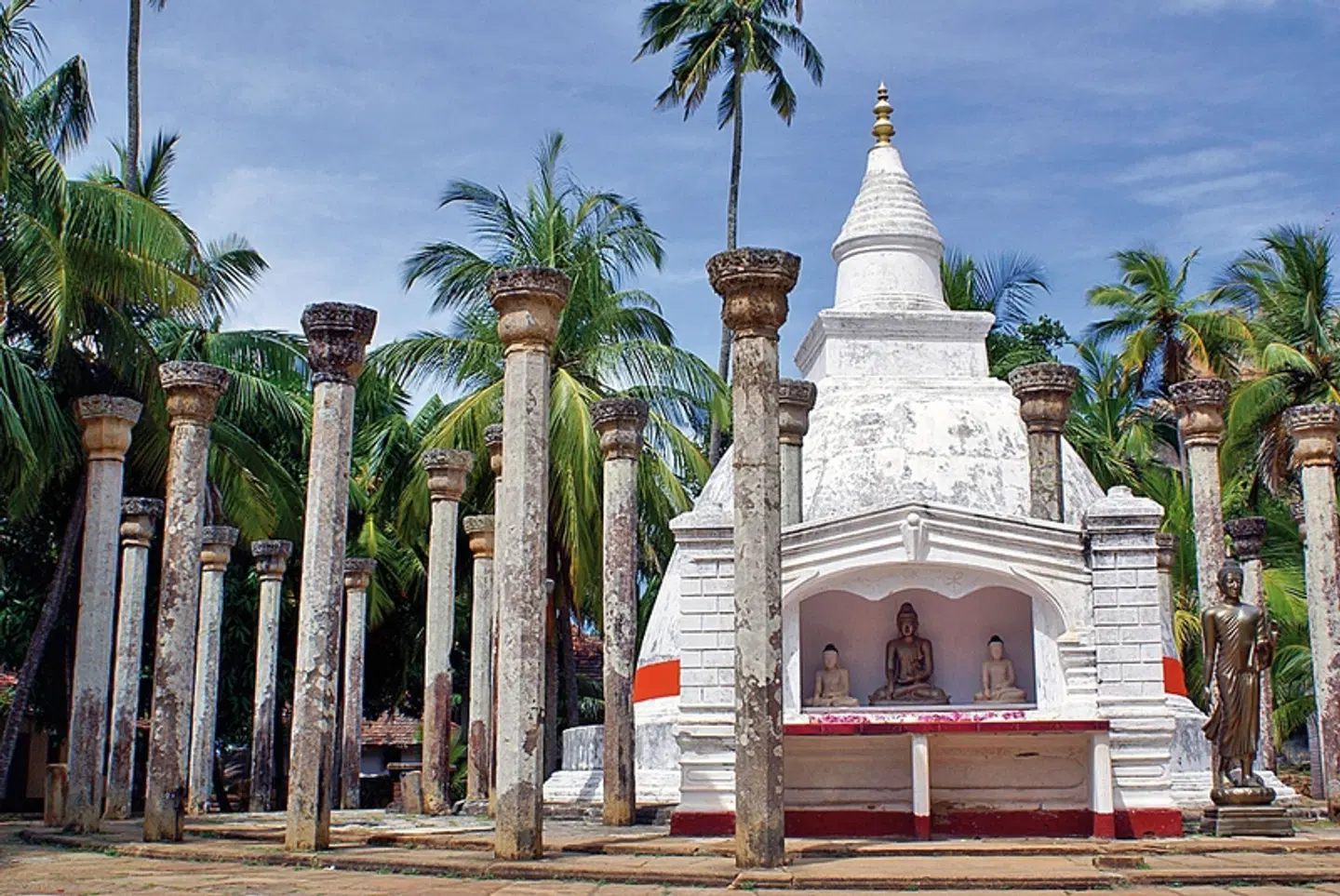 Sri Lanka intensiv EXTERIOR