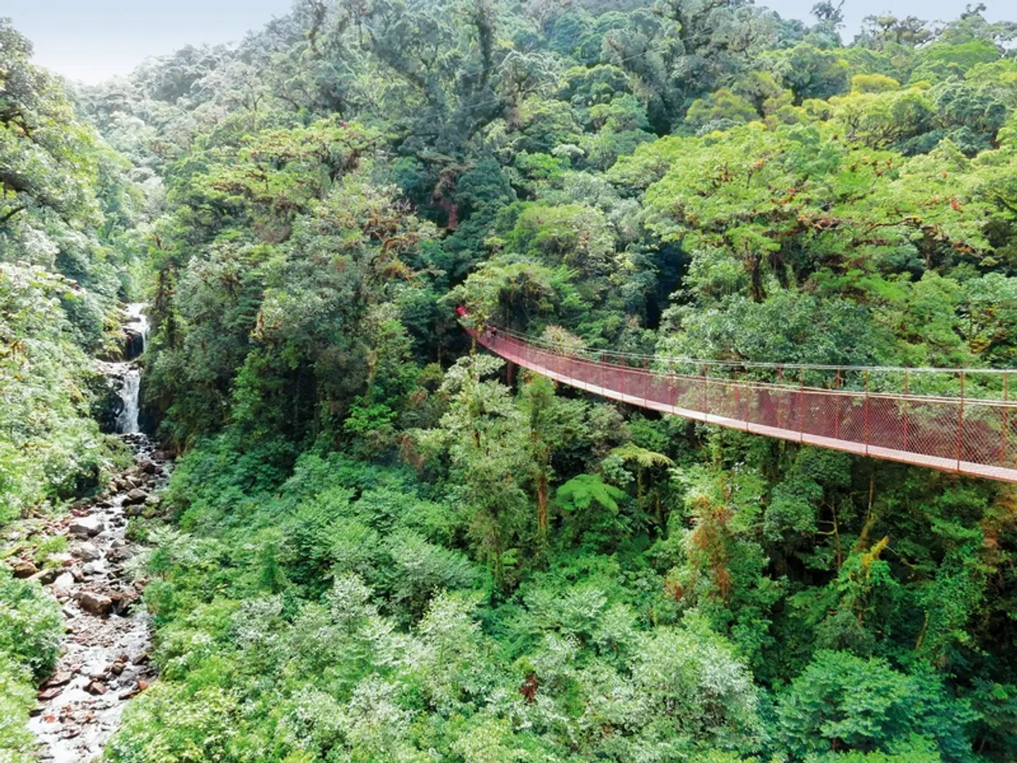 Panama auf eigene Faust - Abgabe in David und Rückflug nach Panama City LANDSCAPE