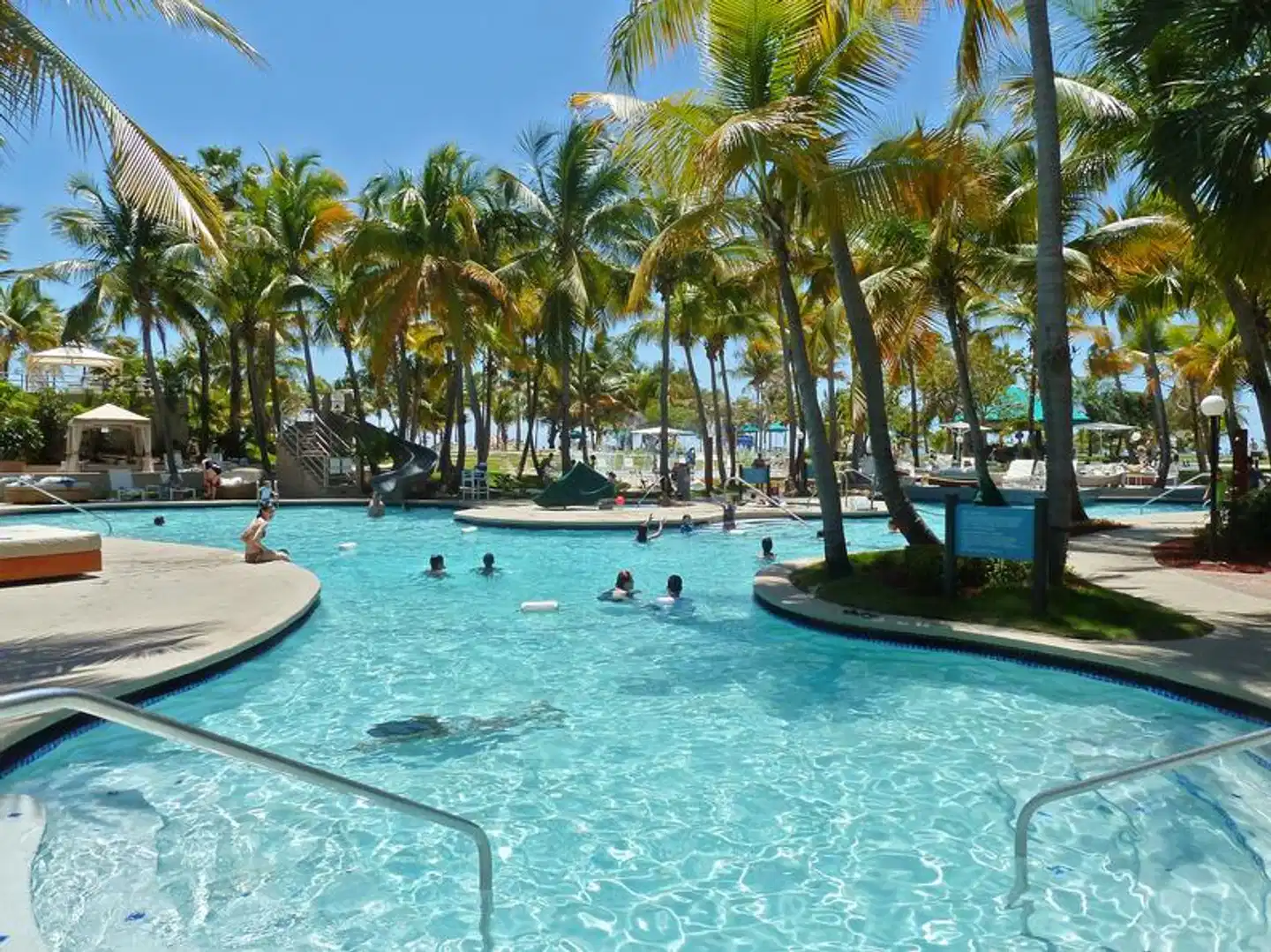 Hilton Ponce Golf & Casino Resort Pool