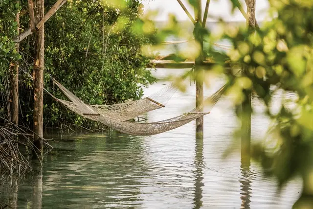 Renaissance Wind Creek Aruba Resort LANDSCAPE