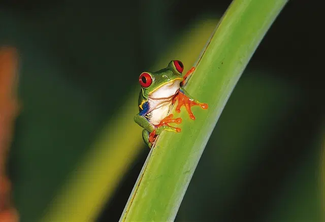 Abenteuer zwischen Vulkan und Regenwald (letzte Nacht in San José) SPORTS_AND_LEISURE