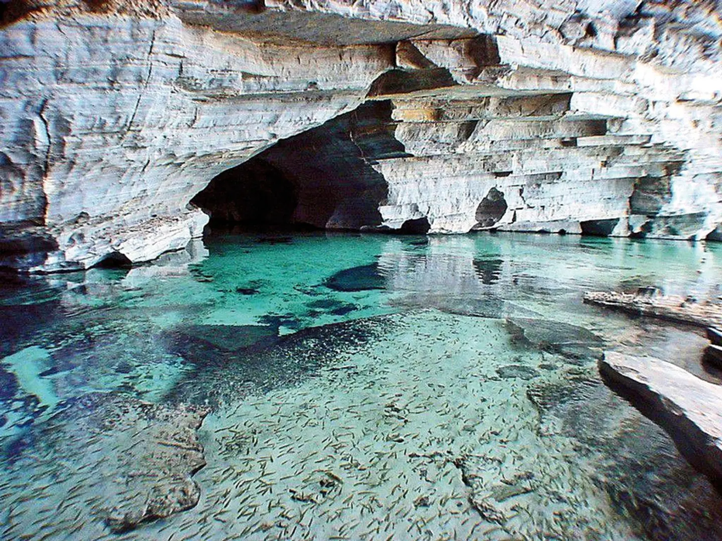 Chapada Diamantina Tiere