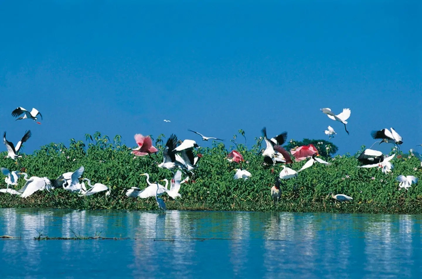 Unberührte Natur - Pantanal Araras Eco Lodge SPORTS_AND_LEISURE