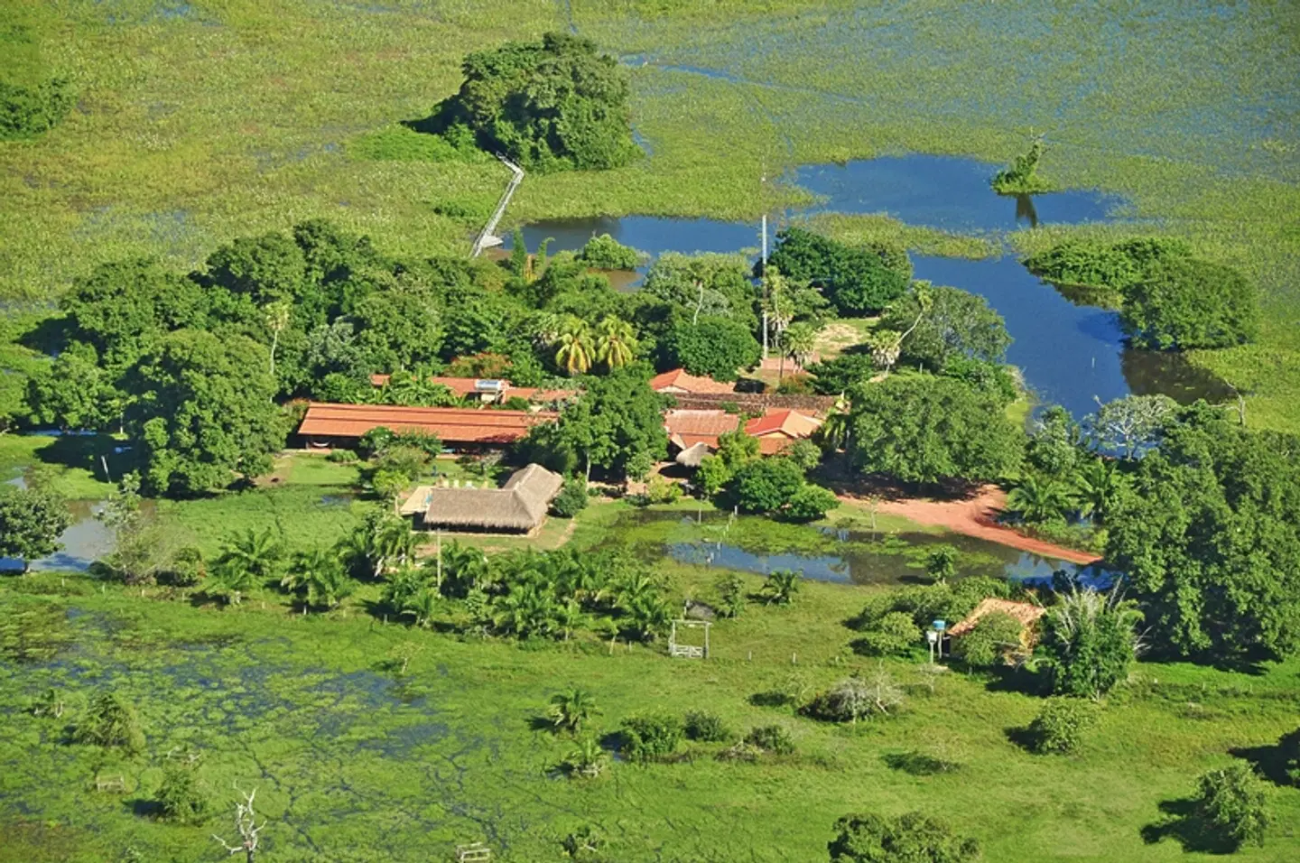 Unberührte Natur - Pantanal Araras Eco Lodge Garten