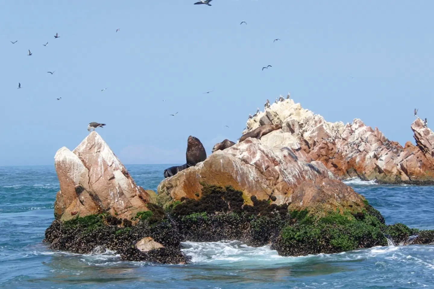 Rätselhafte Scharrbilder und 'Klein-Galapagos' LANDSCAPE