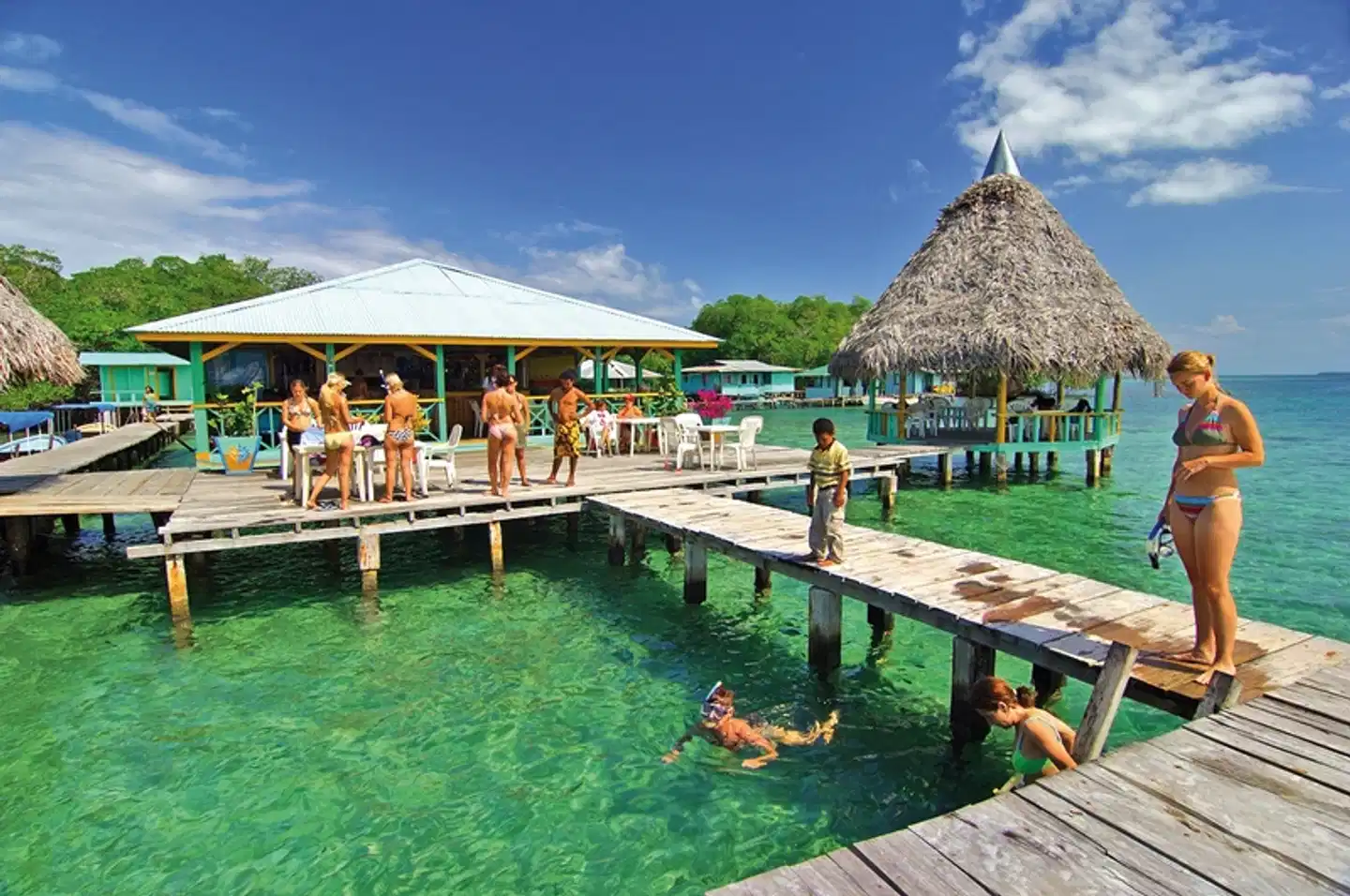 Karibische Inselträume: Bocas del Toro Garten