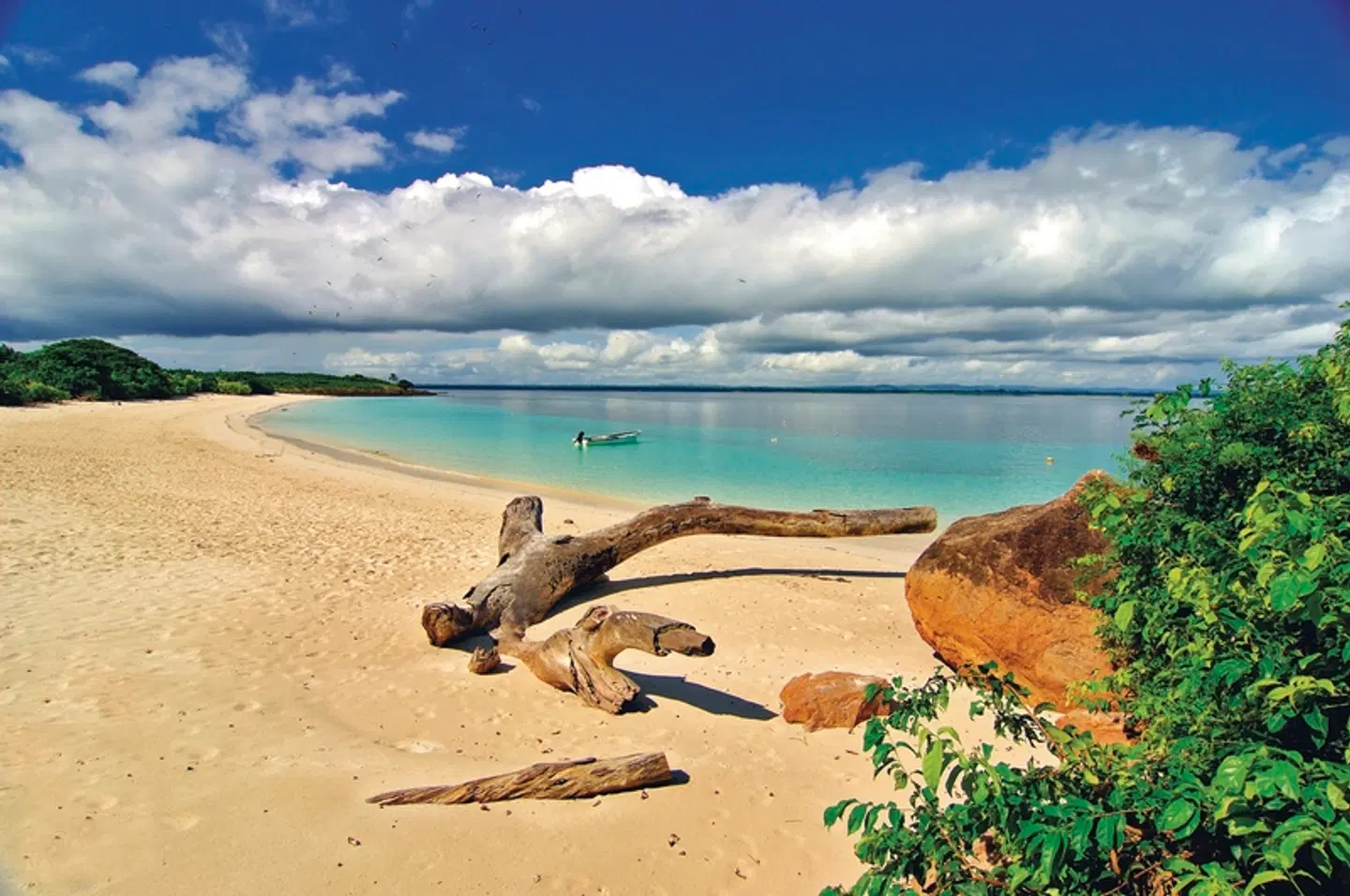 Panama auf eigene Faust - Abgabe in David und Rückflug nach Panama City Tiere