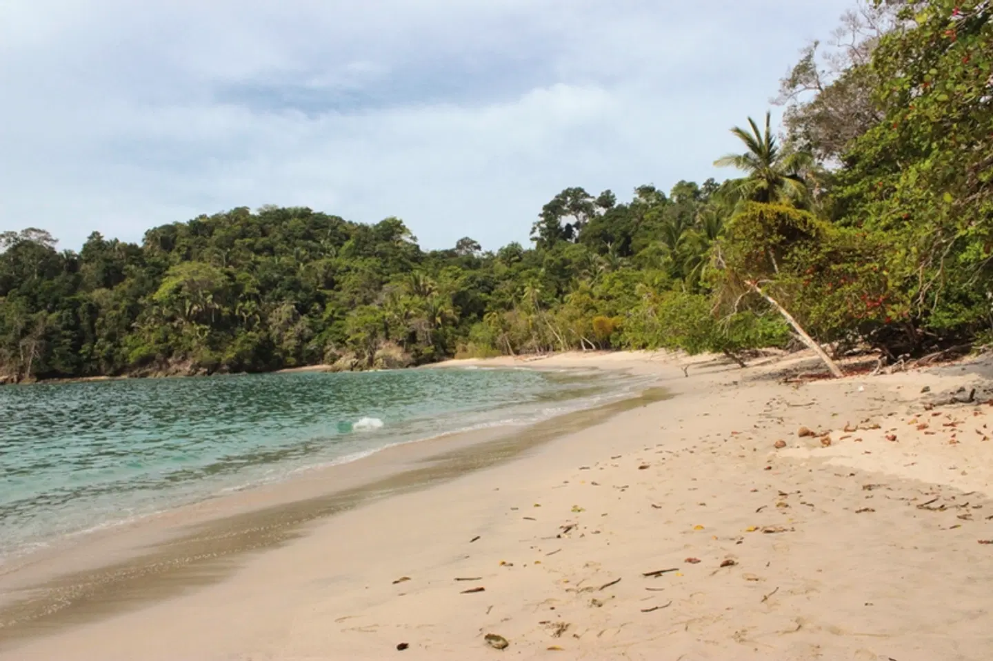 Grünes Paradies Strand
