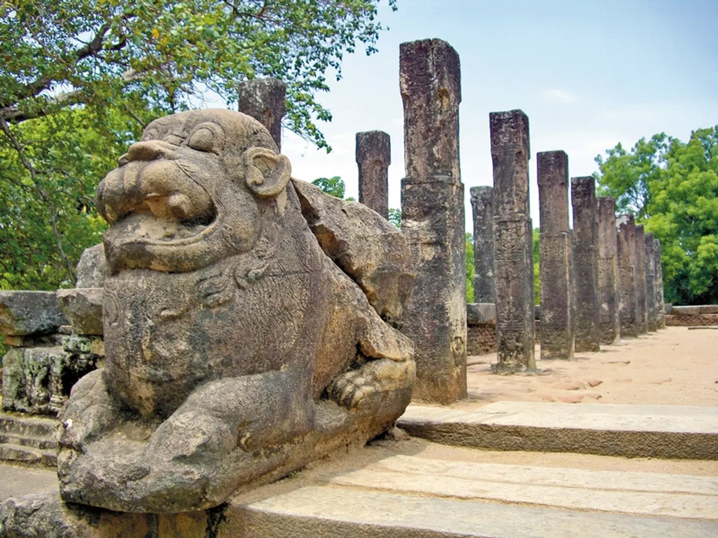 Sri Lanka Classic (Privatreise) Tiere