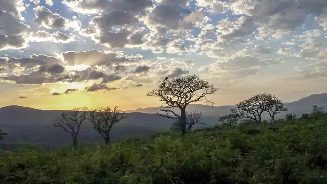 Klassisches Südafrika (ab Kapstadt/bis Johannesburg) Landschaft