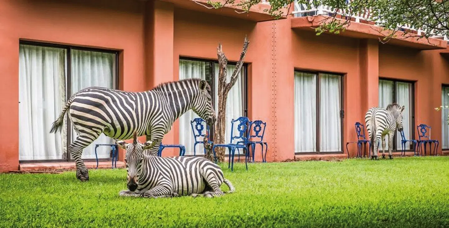 AVANI Victoria Falls Resort Tiere