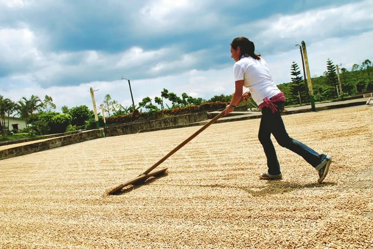 Grünes Paradies Sport und Entertainment