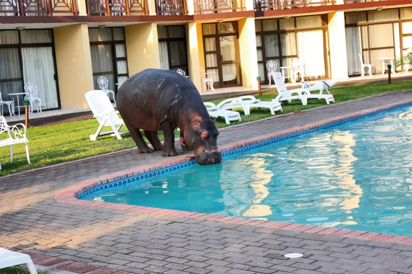 Elephant Lake Hotel Pool