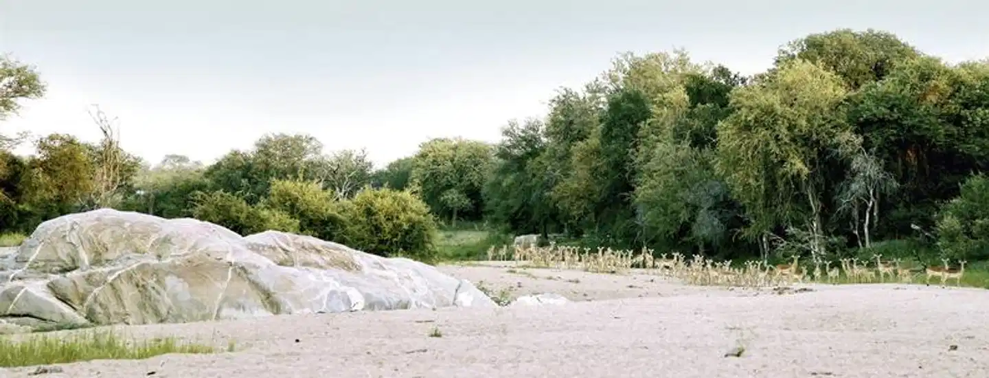 Erlebnis Krüger Park (Gruppenreise) Strand