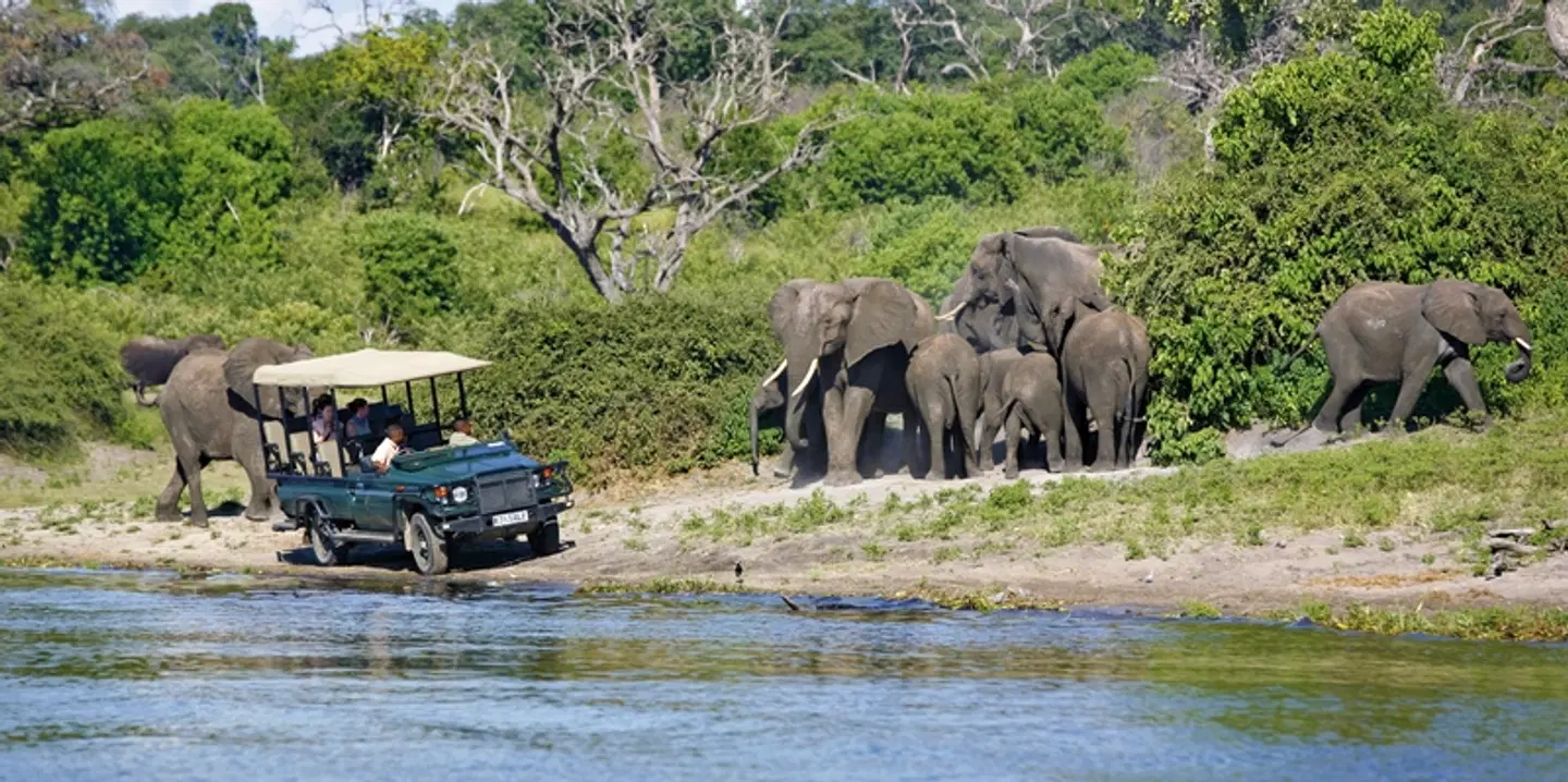 Chobe Safari Lodges Tiere