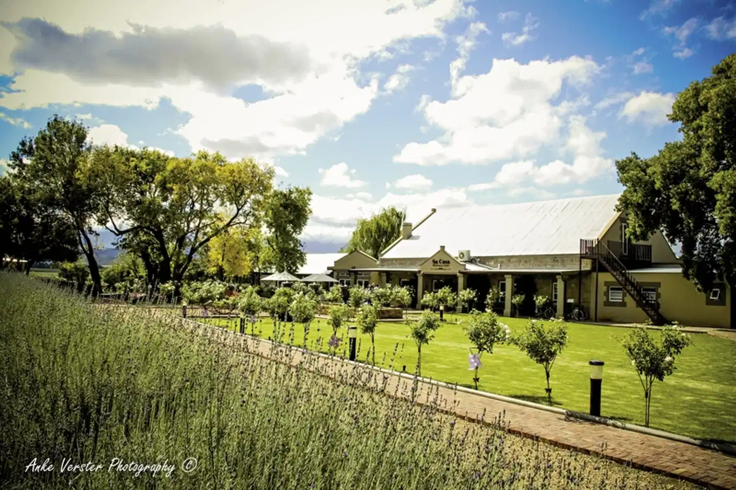 Surval Boutique Olive Estate Aussenansicht