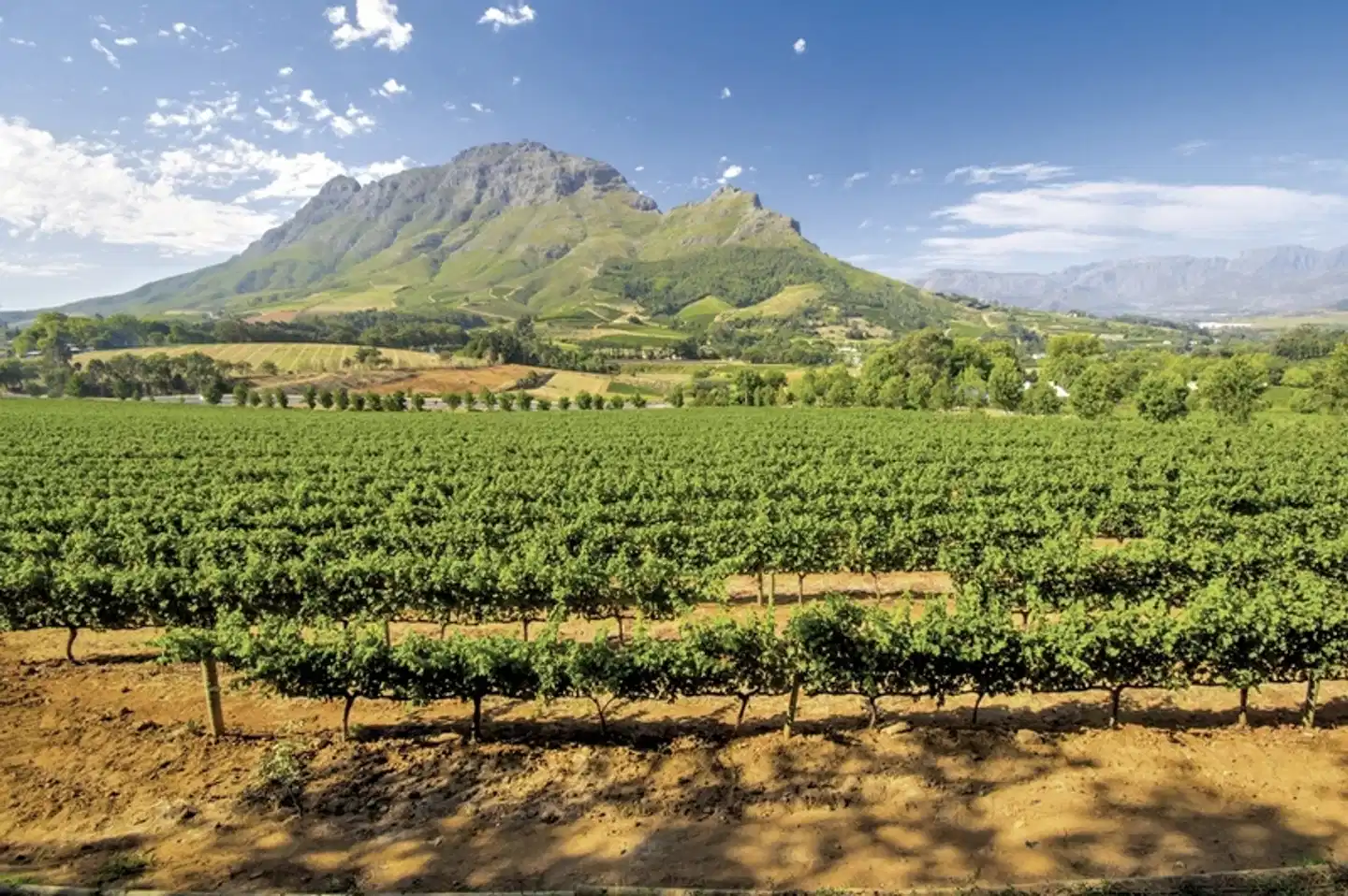 Best of South Africa Gqeberha-Kapstadt Landschaft