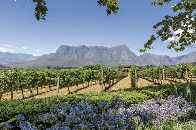 Südafrika zum Verweilen (Johannesburg-Kapstadt) Garten