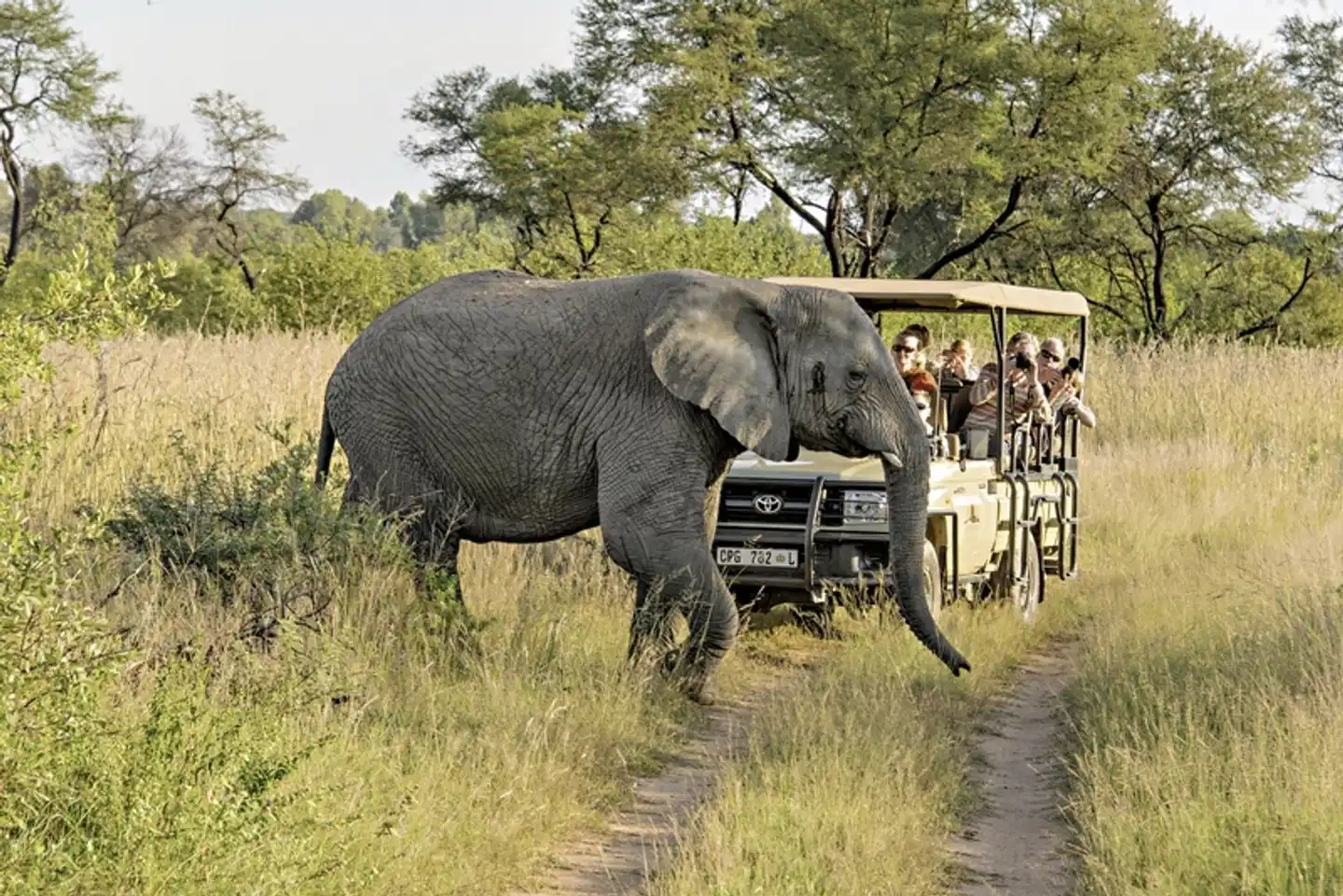 Südafrika zum Verweilen (Johannesburg-Kapstadt) Tiere