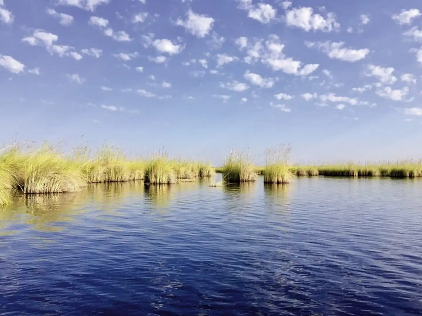 Viktoria Fälle & Safari Abenteuer ab/bis Victoria Falls Landschaft