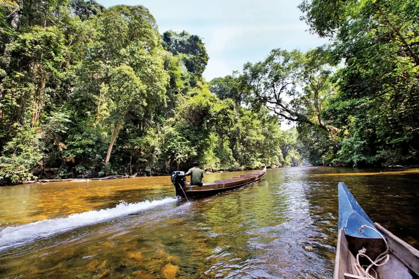 Taman Negara (3 Nächte) Landschaft