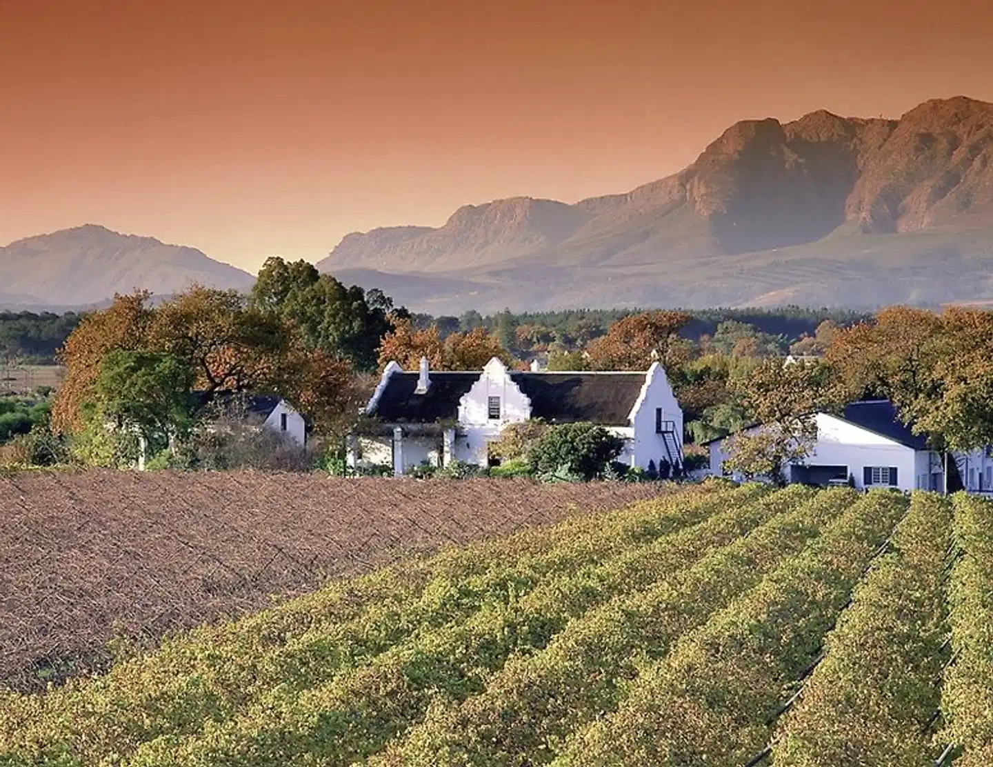 Südafrika zum Verweilen (Johannesburg-Kapstadt) Landschaft