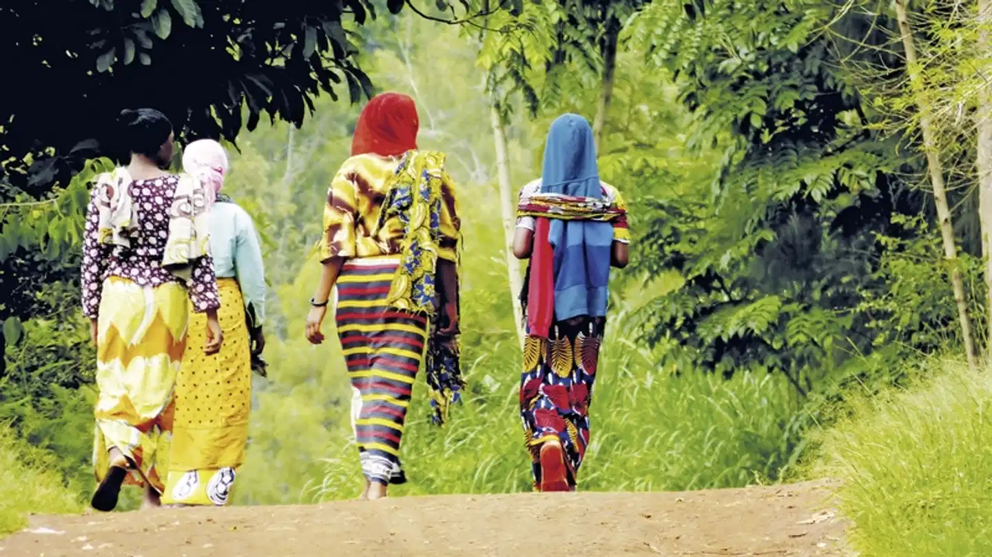 Naturwunder Tansanias & Welterbe Sansibar Sport und Entertainment