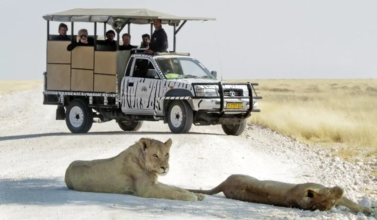 Ausflugspaket Etosha Nationalpark Sport und Entertainment