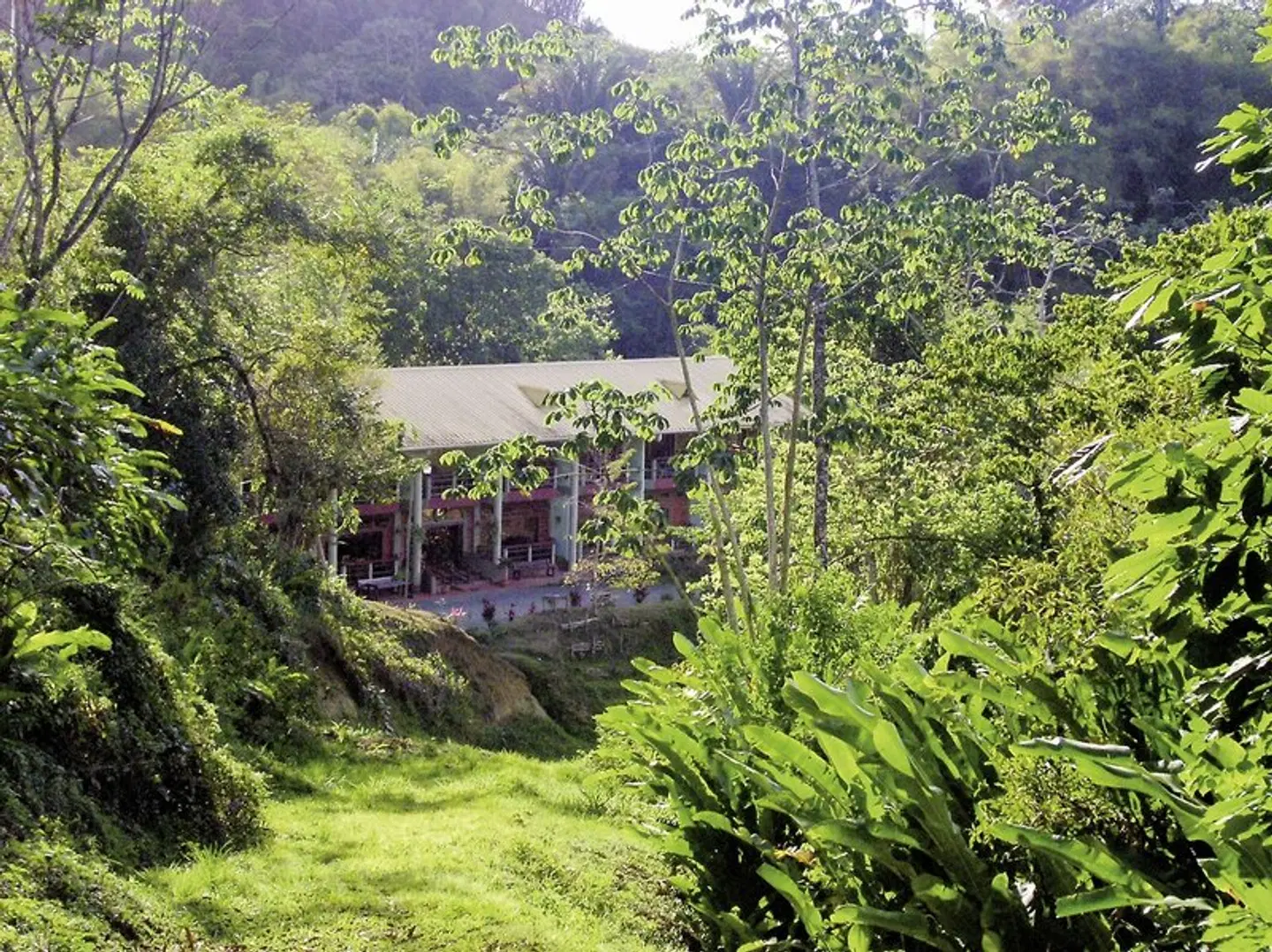 Cuffie River Nature Retreat LANDSCAPE