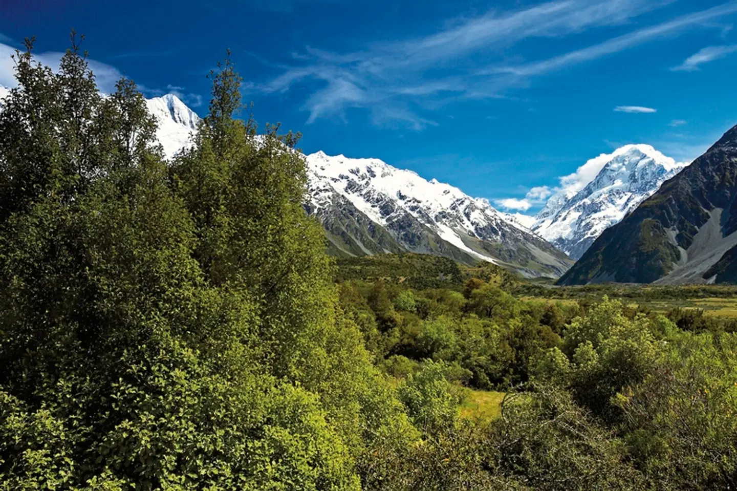 Zu Gast bei Kiwis und Koalas LANDSCAPE