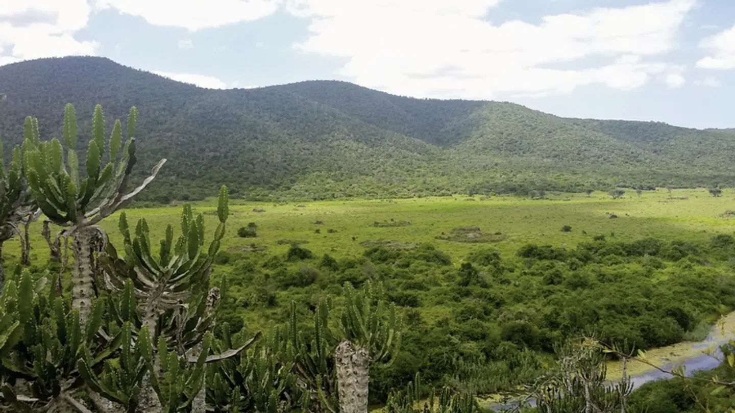 Gartenroute zum Verweilen (Gqeberha (Port Elizabeth) - Kapstadt) LANDSCAPE