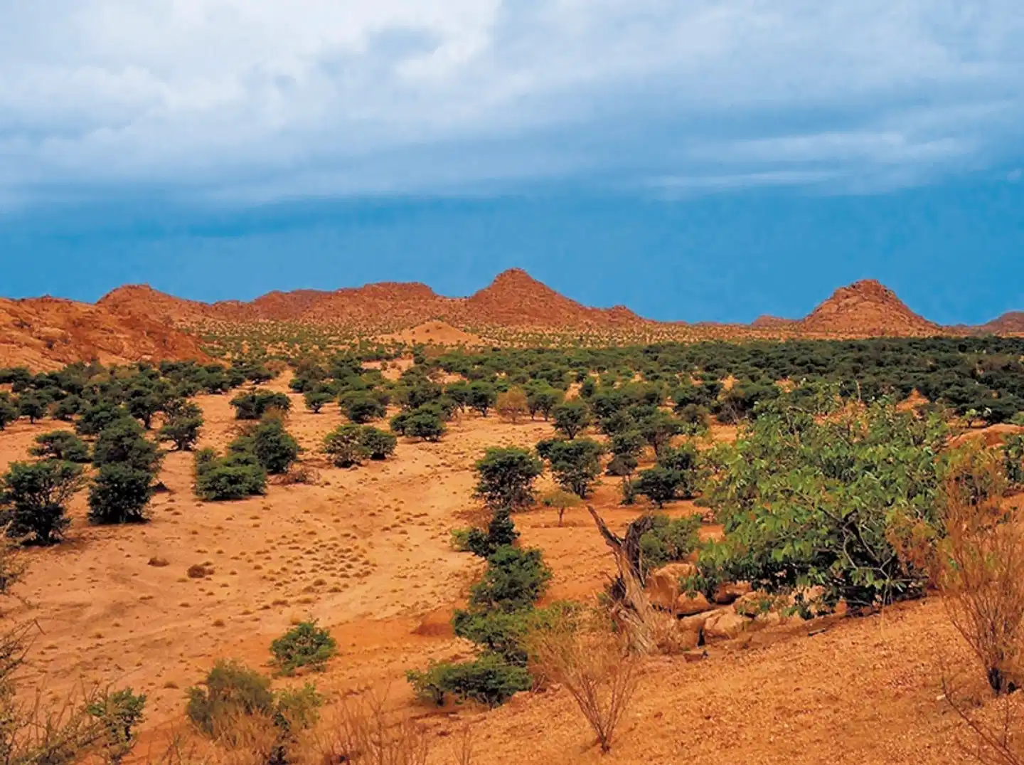 Namibia Classic für Selbstfahrer Landschaft
