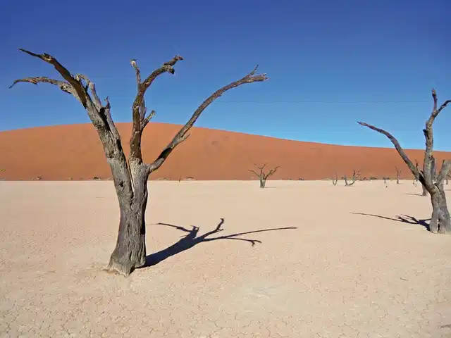 Namibia Classic für Selbstfahrer Tiere