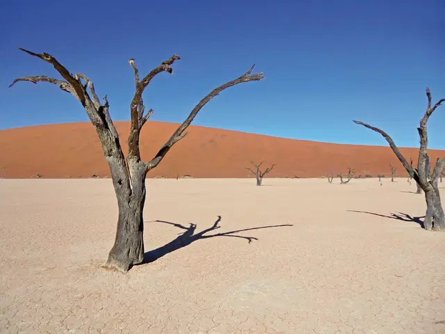 Namibia Classic für Selbstfahrer Tiere