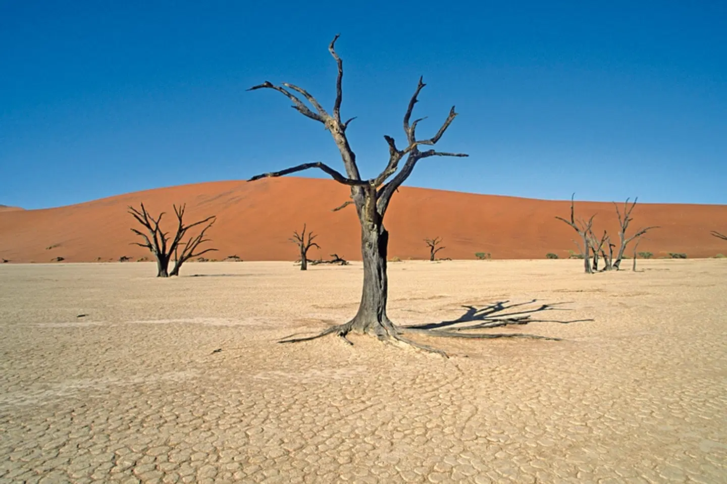Sensation Canyons und Wüsten Standard Strand