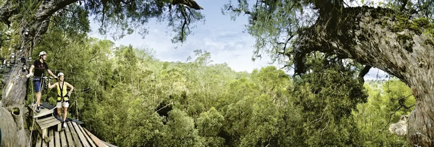 Tsitsikamma Lodge & Spa LANDSCAPE