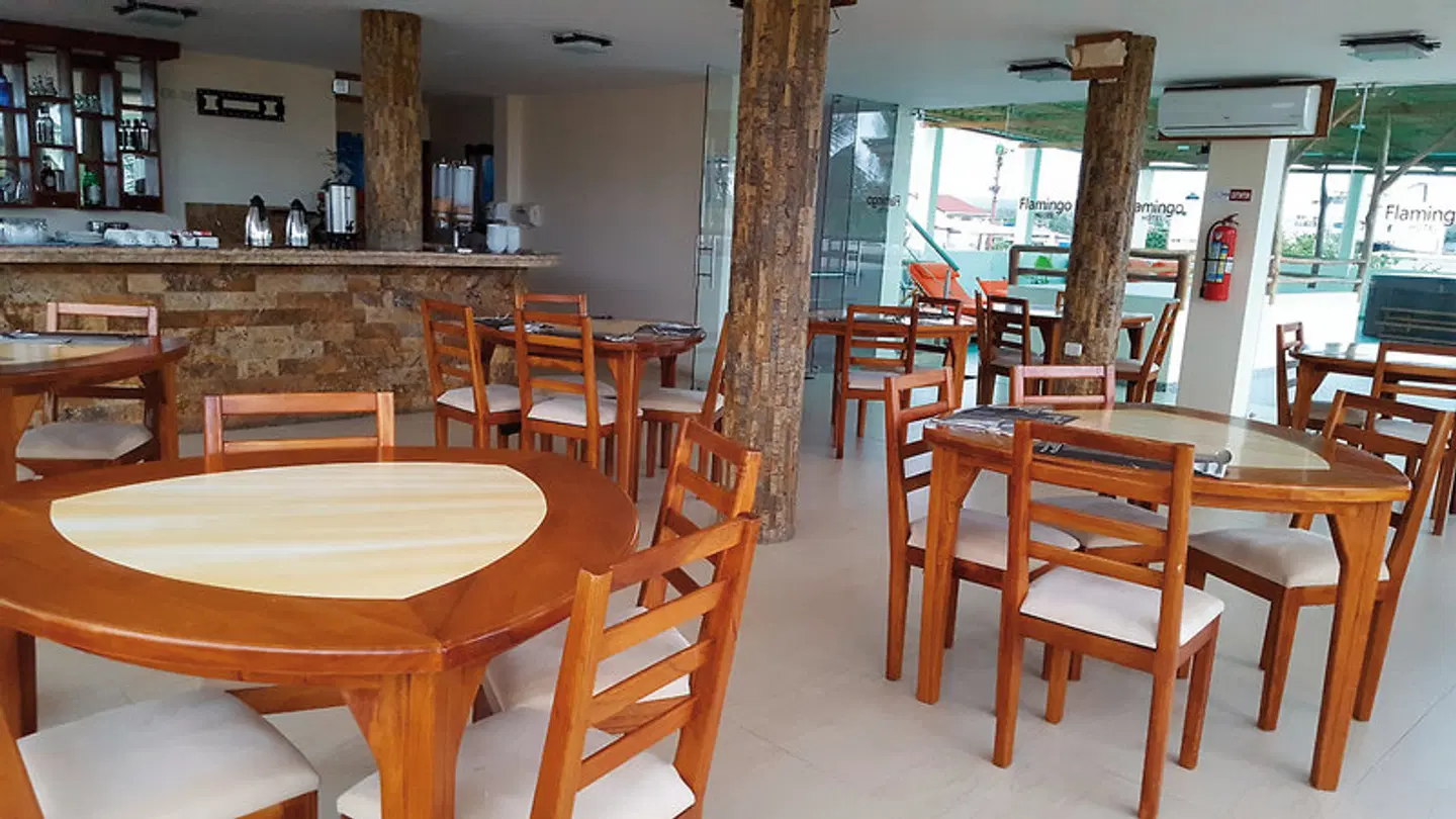 Flamingo Bar