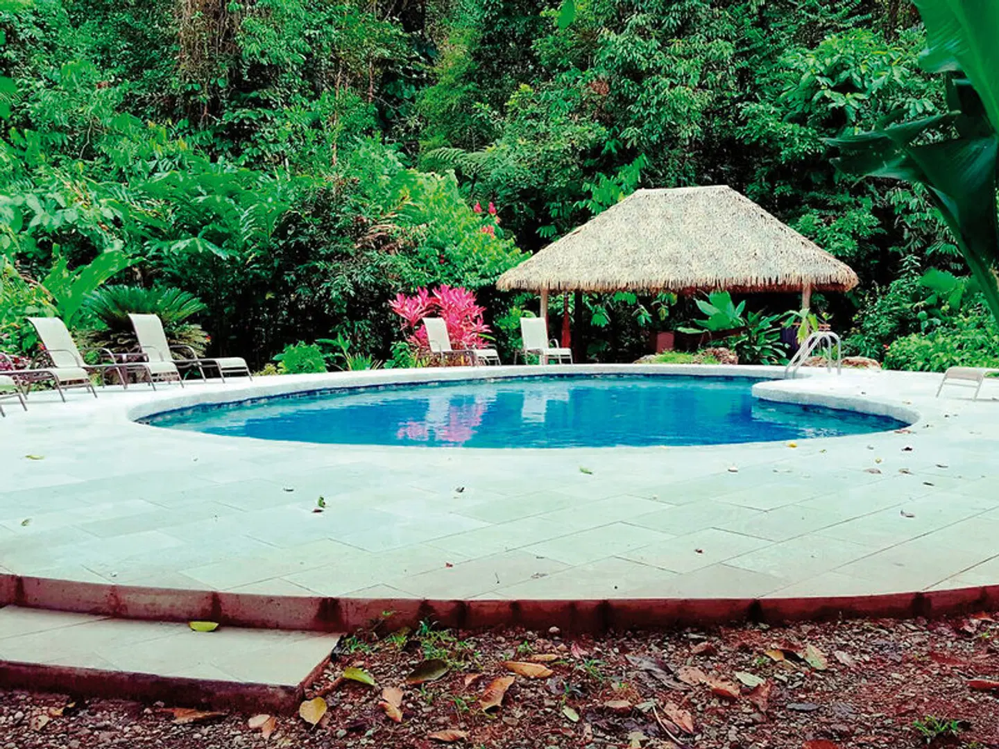 Esquinas Rainforest Lodge OUTDOOR_POOL