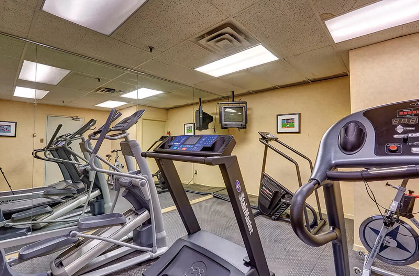 Town Inn Suites Toronto SPORTS_AND_LEISURE