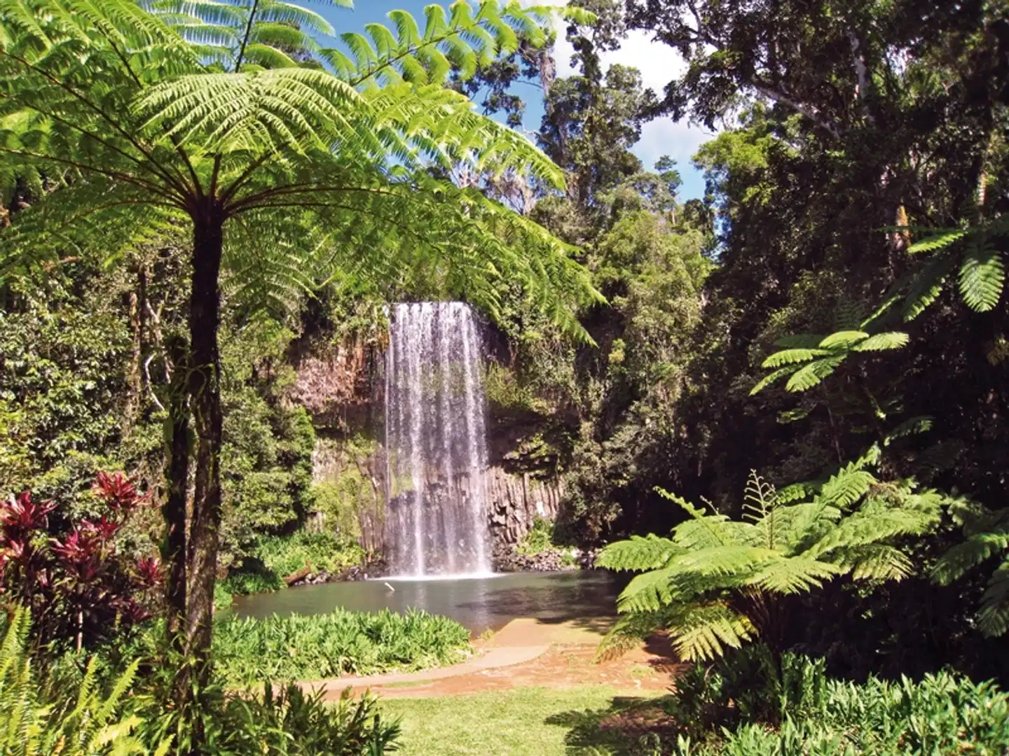 Ostküste auf eigene Faust (Brisbane - Cairns, 12 Nächte) Garten